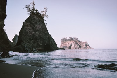 During the day in brown rocks formed in the sea

